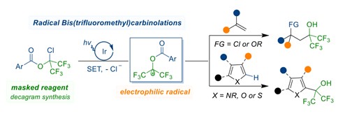 20250222-2.jpg 20250222-2.jpg